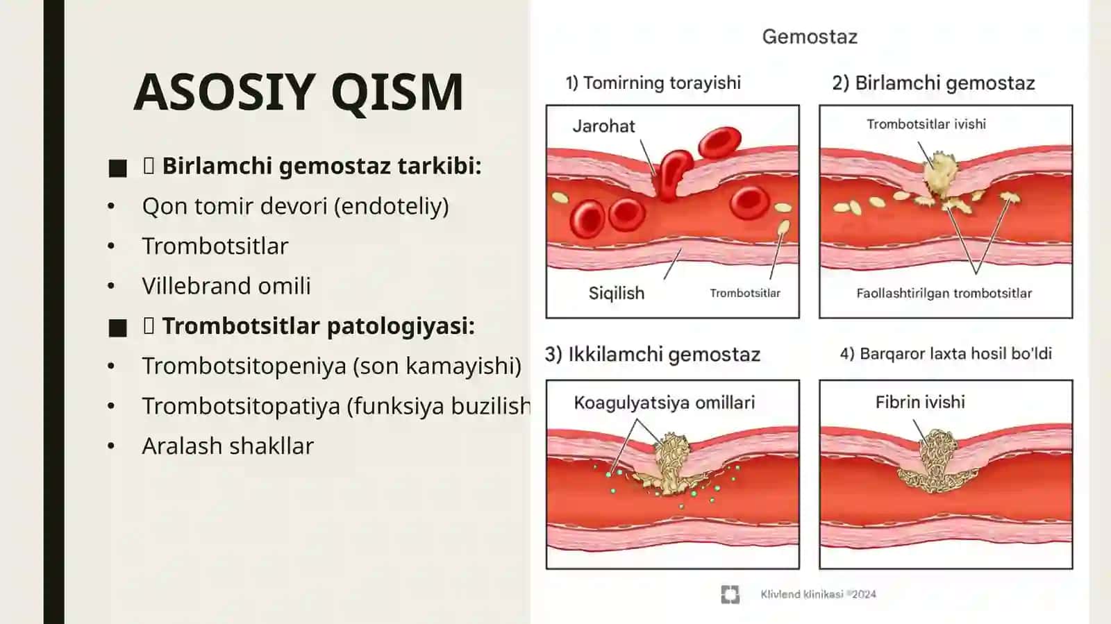 Birlamchi qon ivish tizimi patologiyasi va trombotsitlar patologiyasi laborator diagnostikasi 4