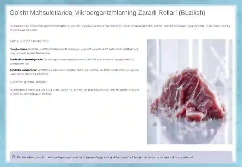 Go'sht Mahsulotlari Ishlab Chiqarishda Mikroorganizmlarning O'rni 4