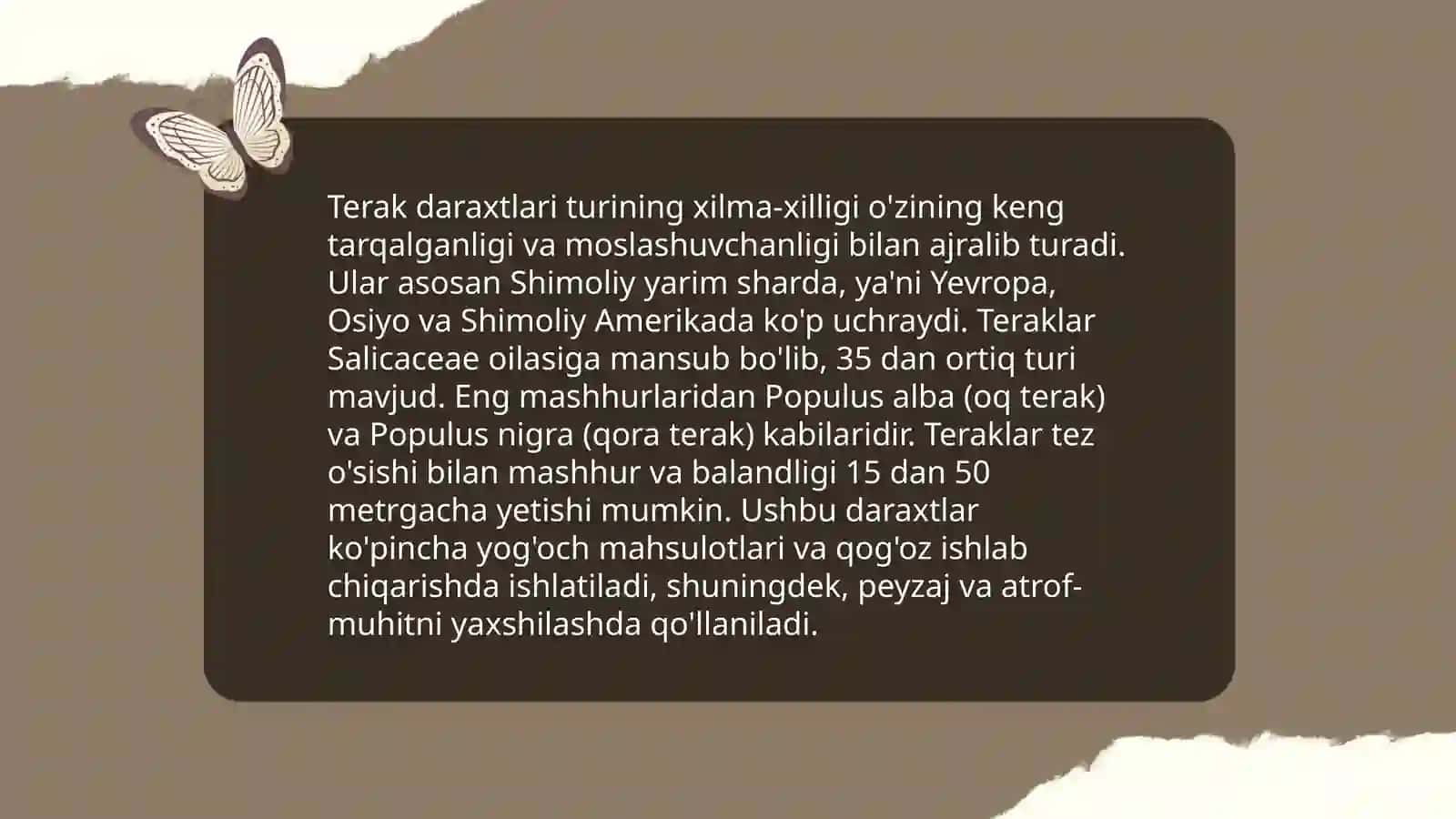 Terak daraxtining daraxt -buta oʼsimliklari 4