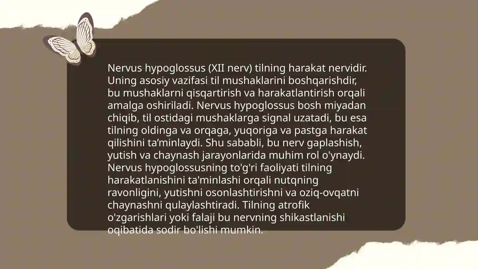 Til osti nervi anatomiyasi 4