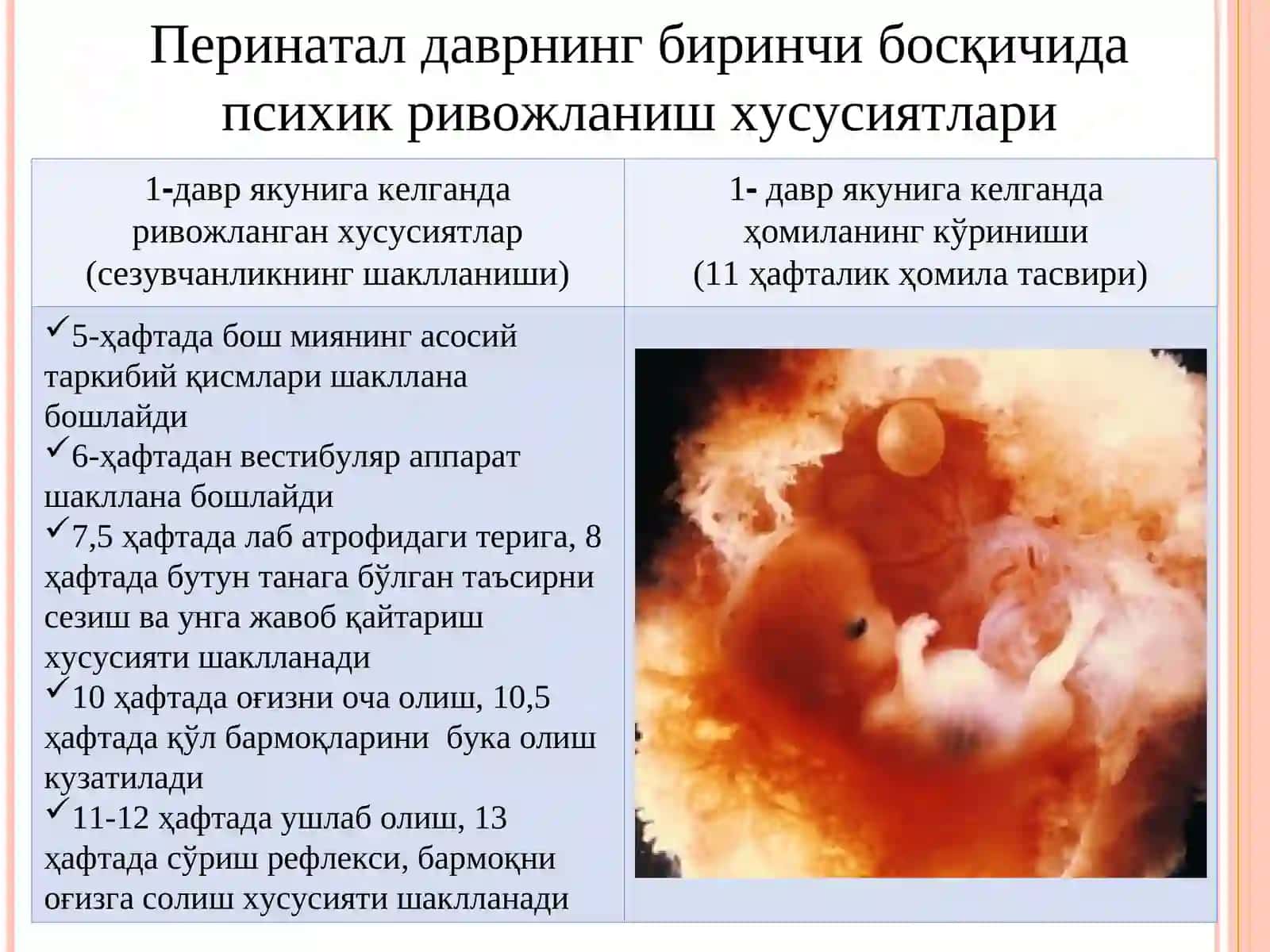 Перинатал (Prenatal davri) 4