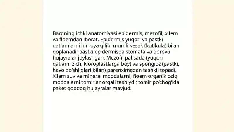 Barg 4