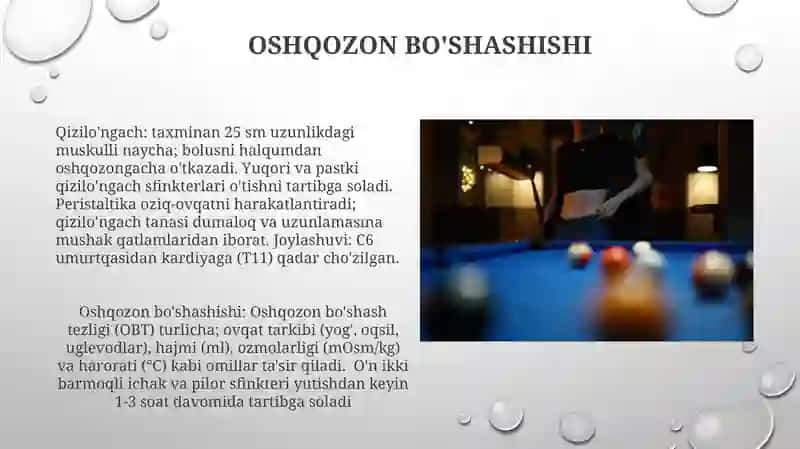 Qizilo'ngach,qorin bo'shlig'i a'zolari haqida umumiy ma'lumot 4