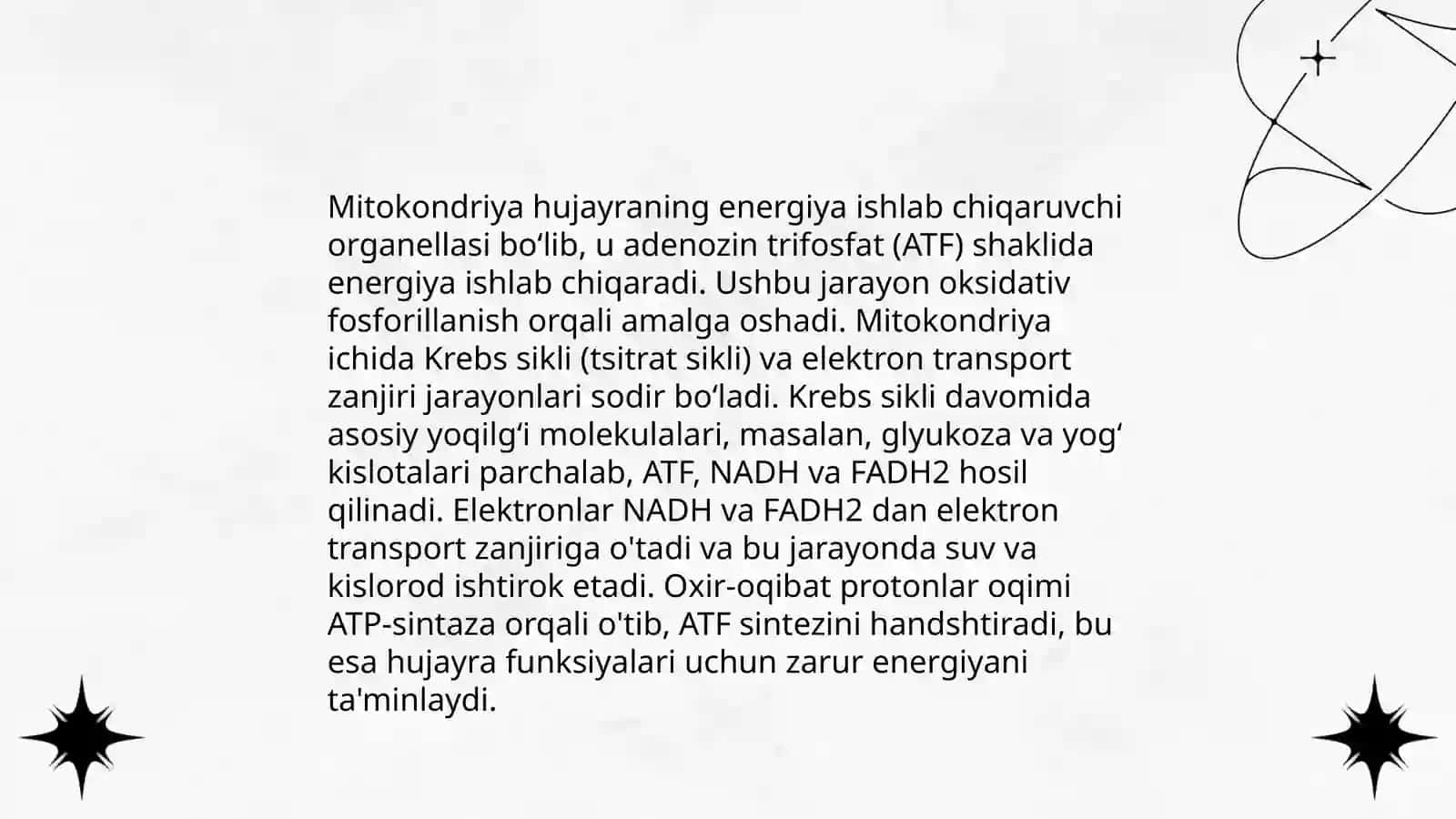 Mitoxondriyaning tuzilishi va funktsiyalari 4