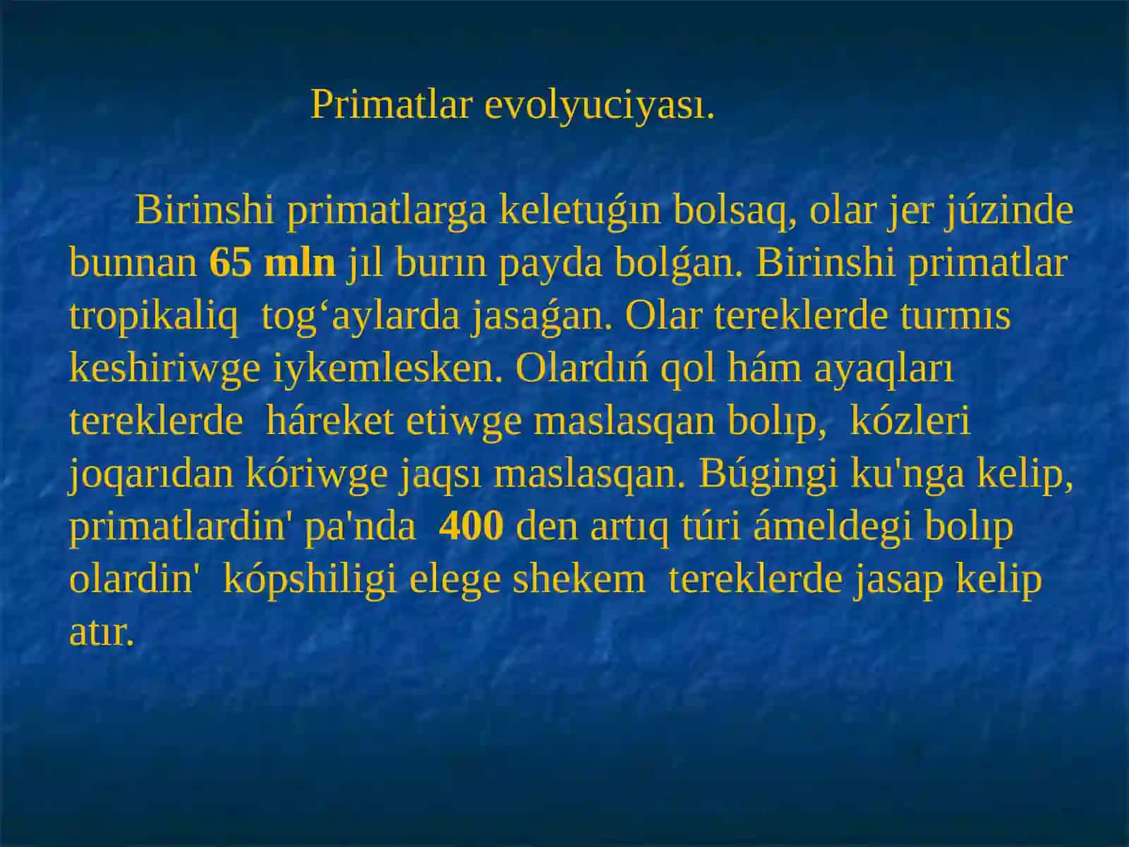 Primatlardin tiykargʻi evolyuciyaliq basqishlari 4