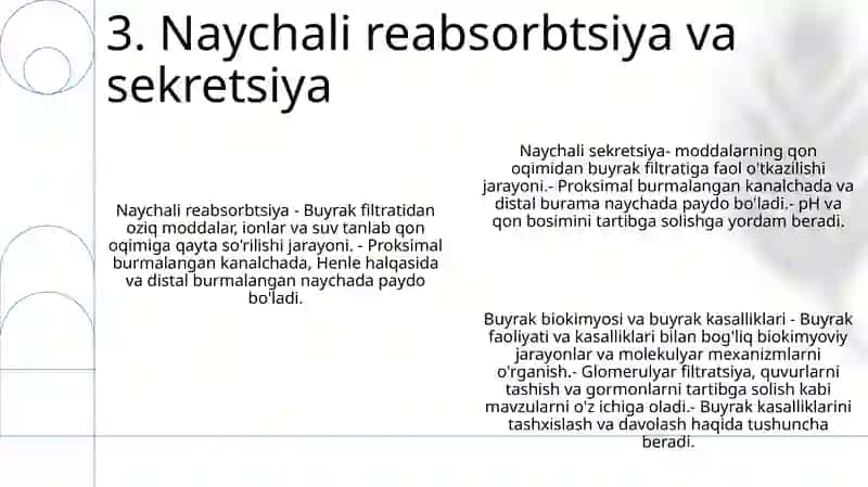 Buyrak Biokimyosi Buyrak Kasalliklari 4