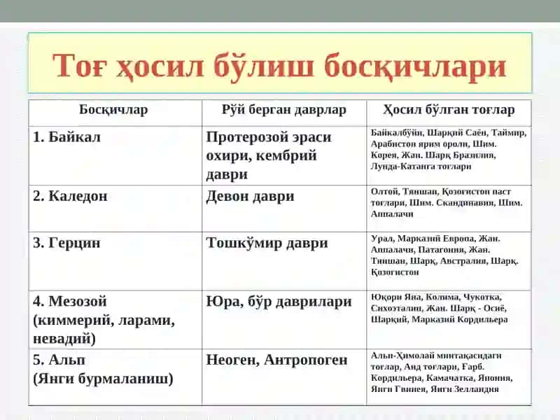 ТОҒ ҲОСИЛ БЎЛИШ БОСҚИЧЛАРИ 4