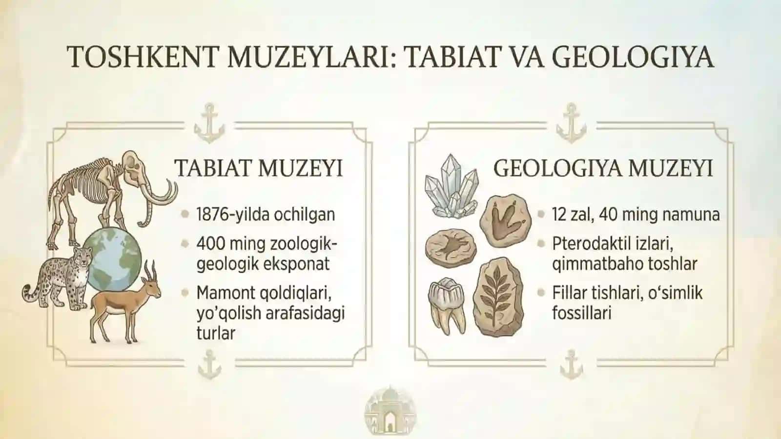 Toshkent shahrida joylashgan muzeylarga tashrif 4