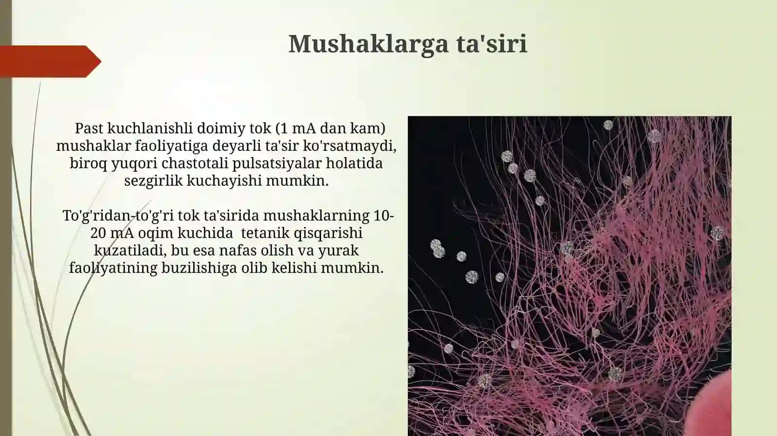 Organizm toʻqimalariga oʻzgarmas tokning birlamchi taʼsiri 4