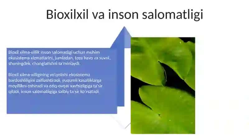 Bioxil 4