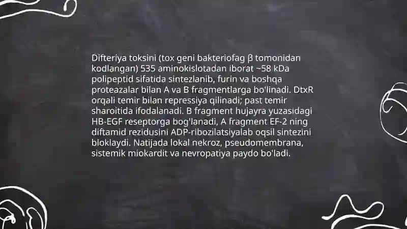 Difteriya kasalligining kelib chiqish sabablari va asoratlari 4