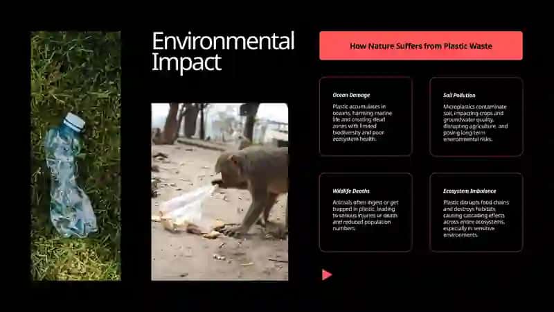 Plastic Pollution 4