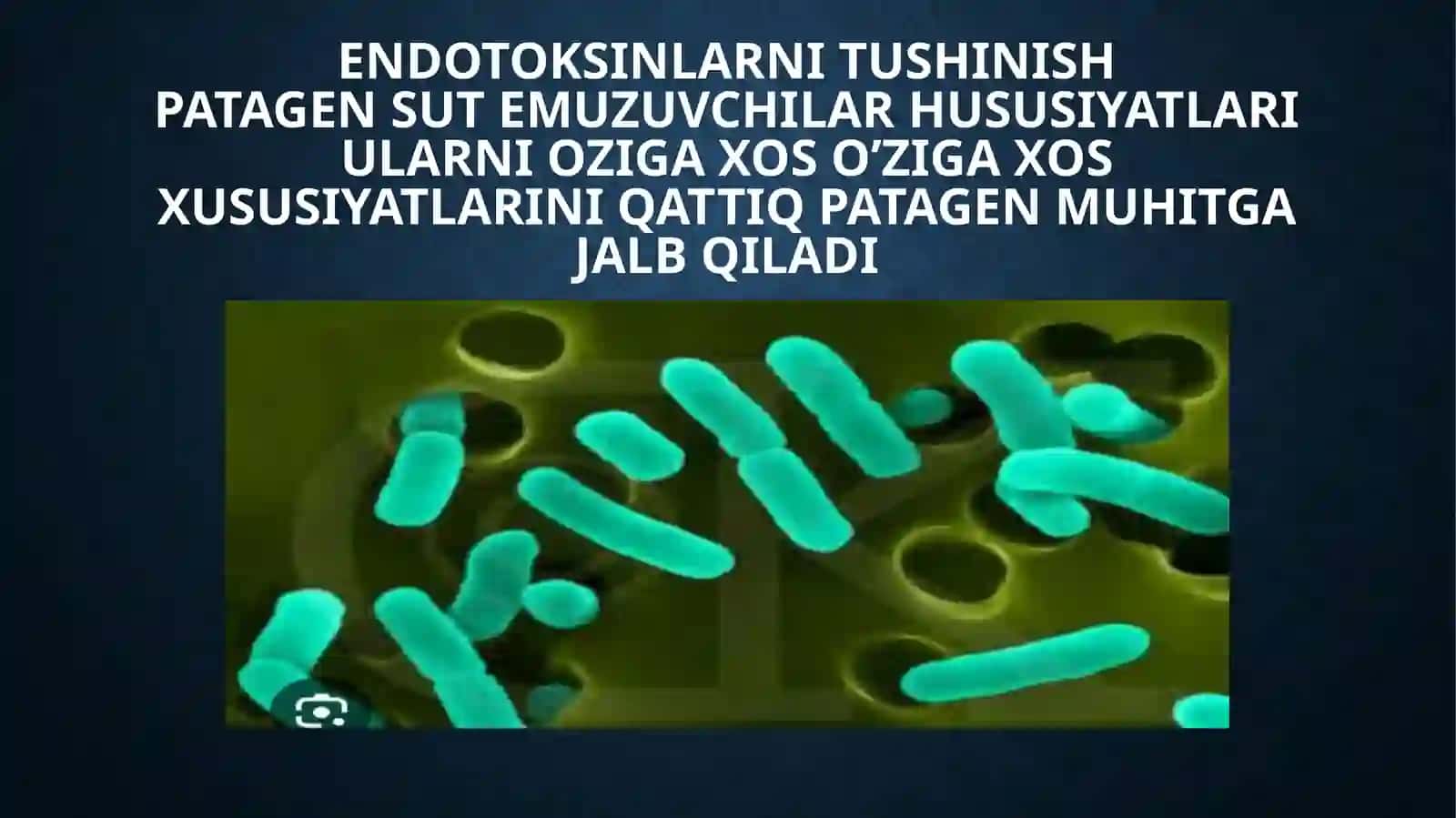 PATAGEN MIKROBLARGA HARAKTERISTIKA EGZO VA ENDO TOKSINLAR ULARGA HARAKTISTIKA 4