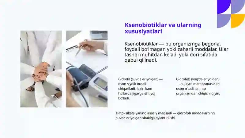 TOKSIK MODDALARNI JIGARDA ZARARSIZLANTIRISH: BIOKIMYOVIY ASOSLAR 4