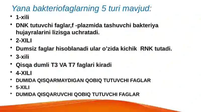 Bakteriofaglar morfologiyasi strukturasi repraduksiyasi,amalyotda(davolashda, idintifikatsiyada,profilaktikada)qo’llanilishi 4