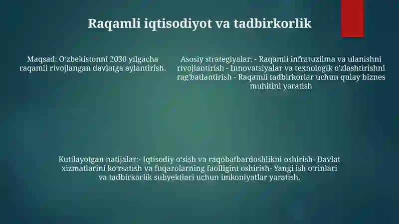Raqamli OʻZbekiston 2030 4