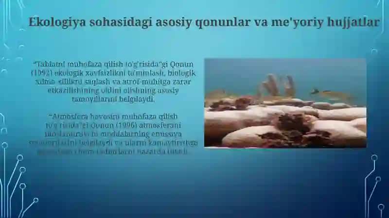 Davlatning tabiiy resurslardan foydalanish va ekologiyasi siyosati 4