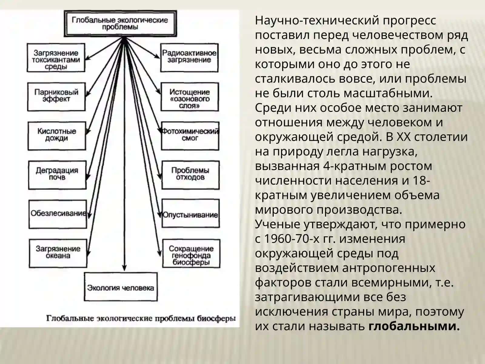 Глобальная экологическая проблема 4