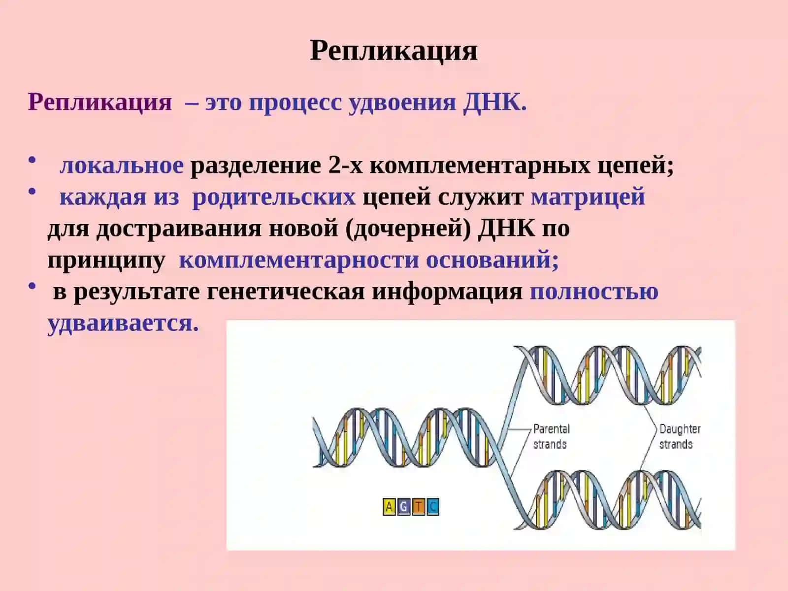 Биохимия и молекулярная биология 4