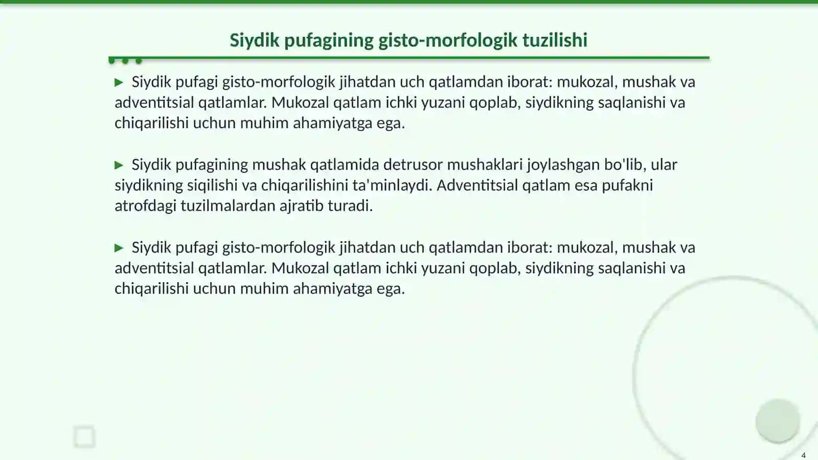 Buyrak va siydik pufagining gisto-morfologiyasi 4