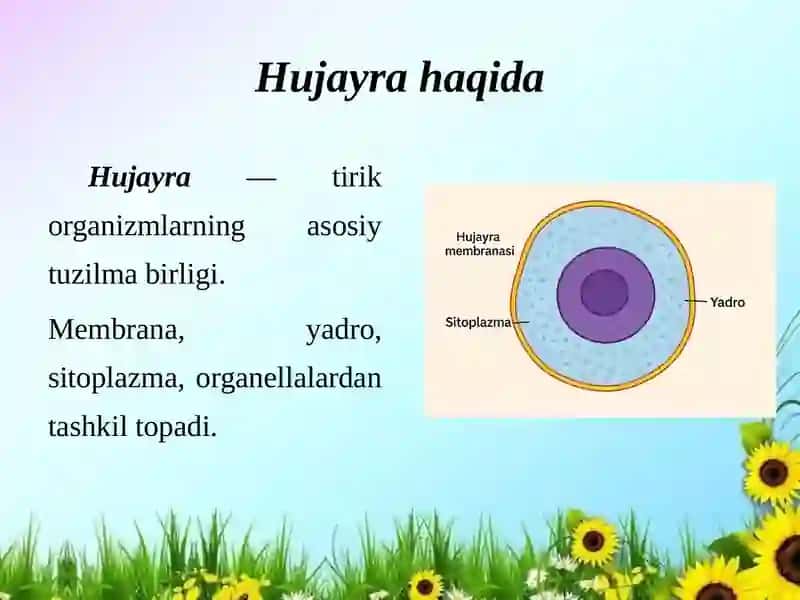 Bolalarga tabiatdagi o’simlik va hayvonlarni bir-biriga bog’liqligini tushuntirish. 4
