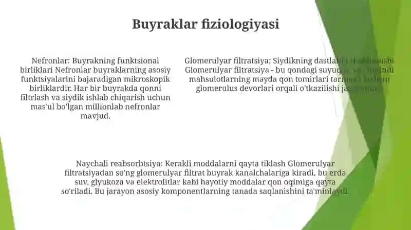 Ayiruv Tizimi Fiziologiyasi. Buyrak Fiziologiyasi 4