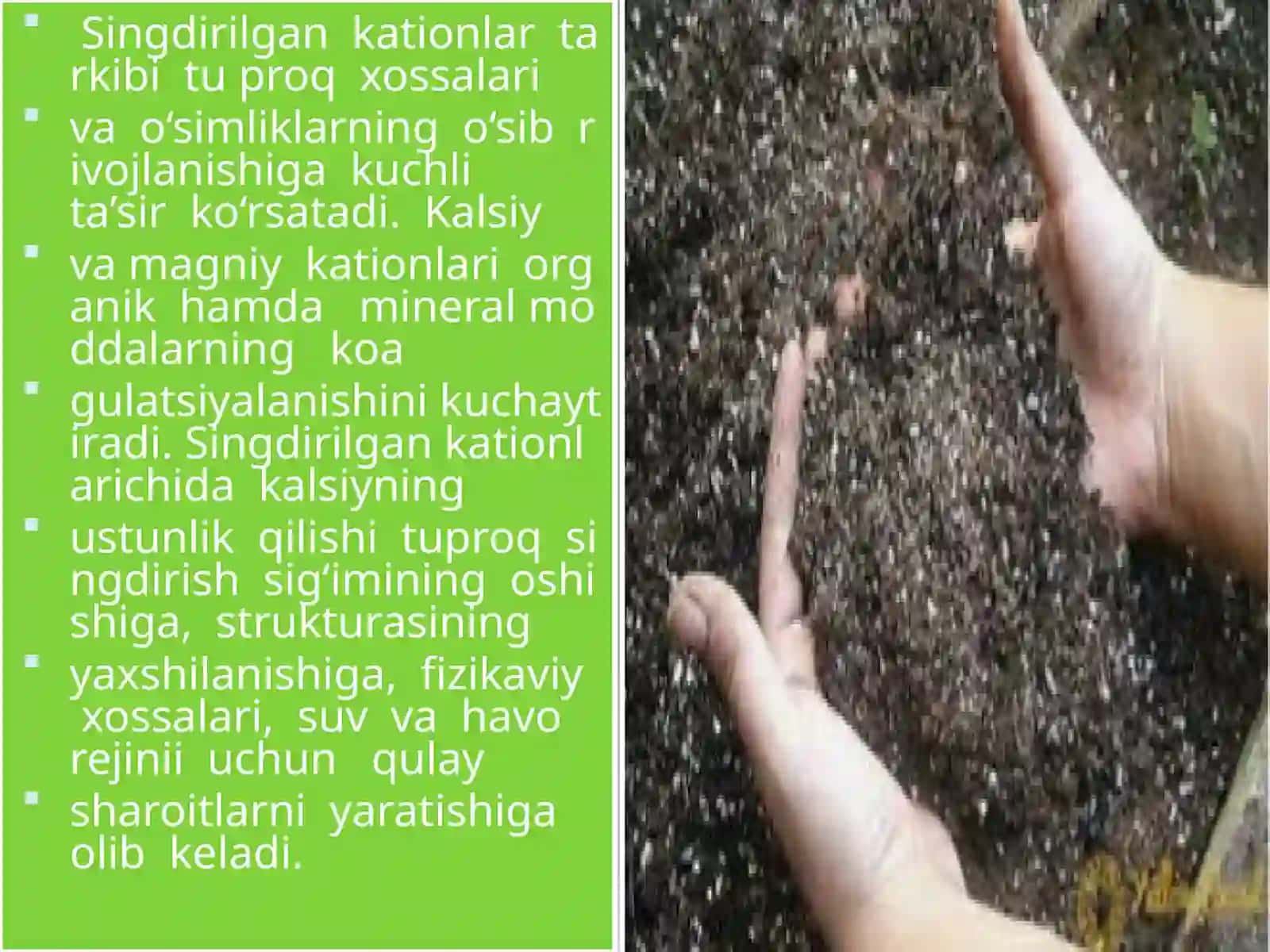 AGROKIMYO VA AGROTUPROQSHUNOSLIK YO’NALISHI 4