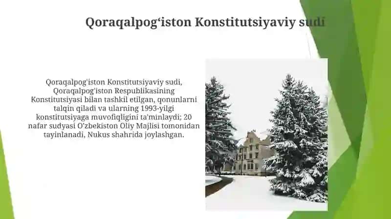 Qoraqalpogʻiston Respublikasi davlat organlarining tashkil etilishi 4