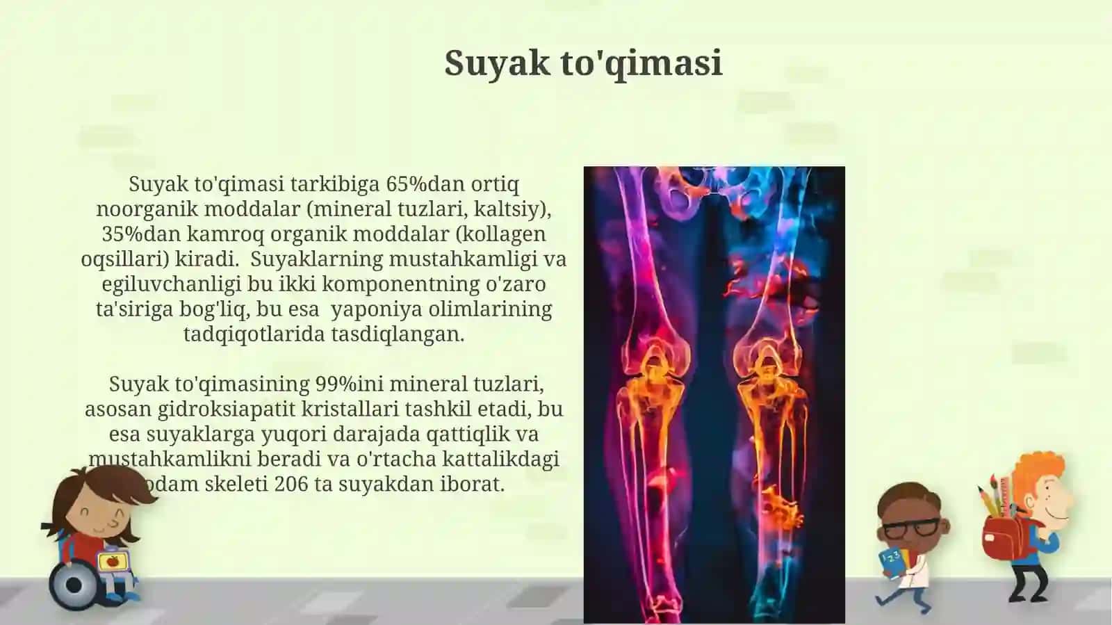 Suyak to'qimasi. Suyaklanish turlari. Suyaklarning birikish xillari 4