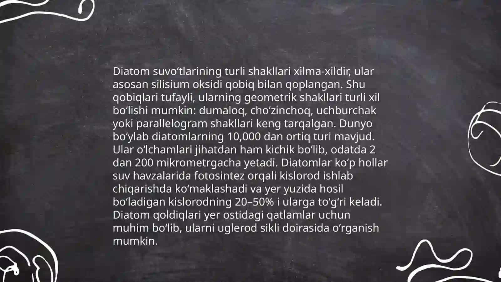 Diatom suvoʻtlari bo'limi va ularning muhim vakillari 4