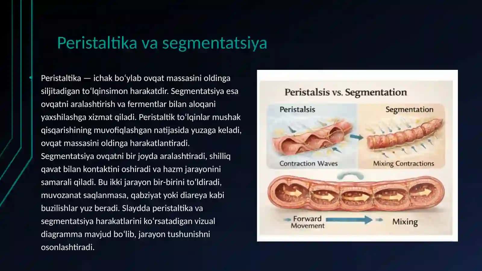 ICHAK MOTORIKASI VA UNING FIZIOLOGIK NAZORATI 4