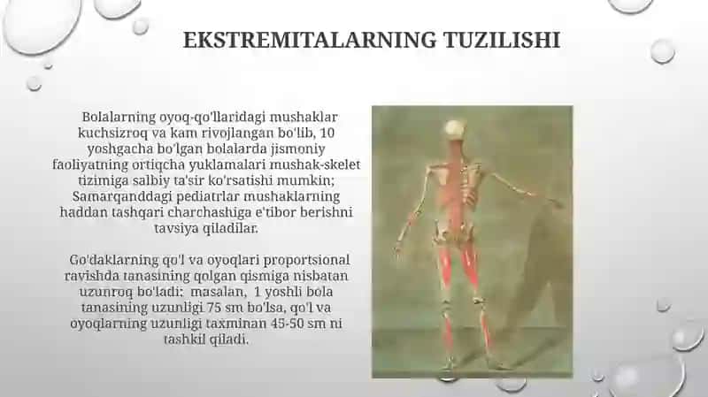 Bolalar gavda tuzilishining hususiyatlari 4