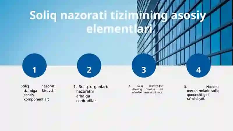 Soliq nazorati tizimi 4