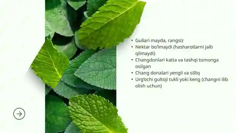 OCHIQ XAZMAGAM TIPDA CHANGLANISH 4