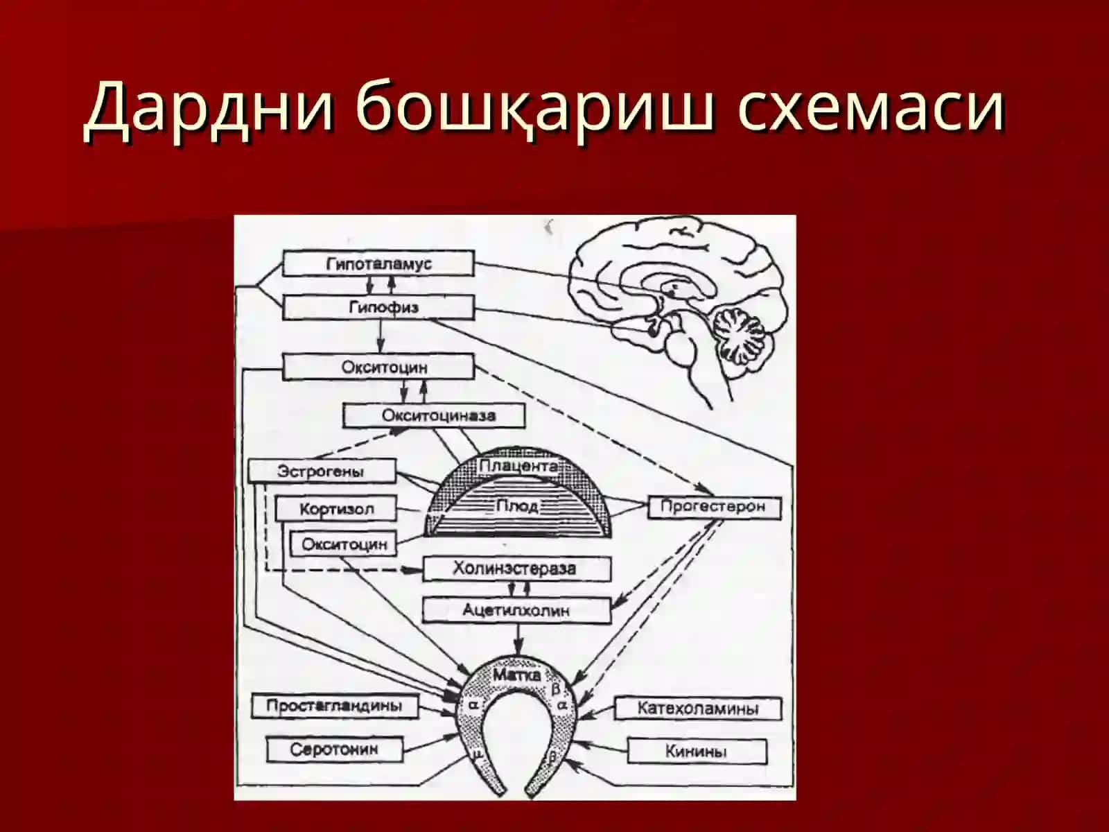 ДАРД ТУТИШ НУКСОНЛАРИ 4