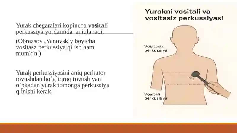 Yurak perkussiyasi 4