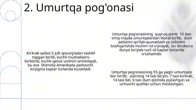 Kaptararning skeleti va pat tuzilishi 4
