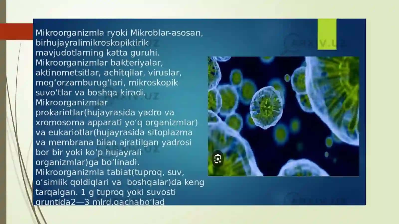 Bakteriologiko’g’itlar 4