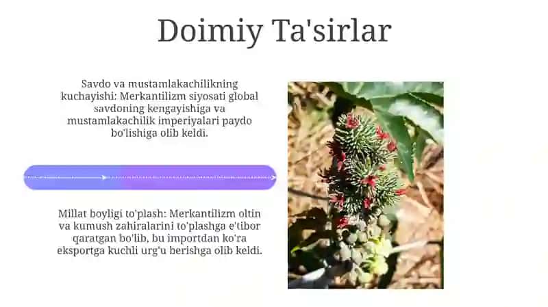 Merkantilizm iqtisodiy talimotlari 4