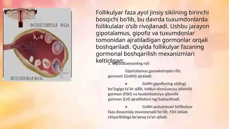MENSTRUAL(Hayz) SIKL DAVRLARI 4