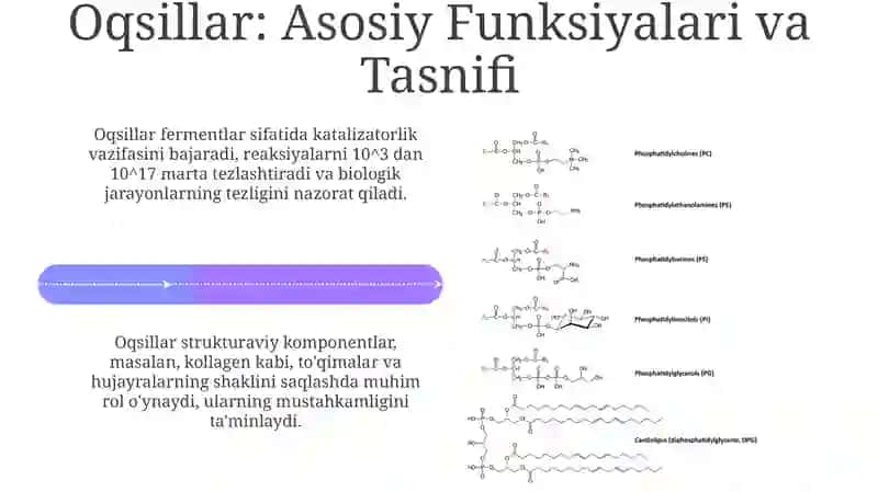 Fosfolipidlar va Oqsillar: Biosintez va Tuzilish 4