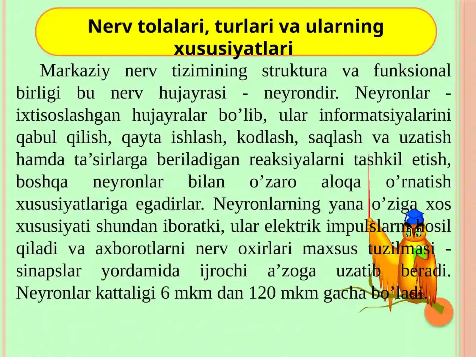 To’xtasinova Zarifaxon Muxammadjonovning FIZIOLOGIYA VA SPORTFIZIOLOGIYASI fanidan “Qo’zg’aluvchan to’qimalar va ularning xossalari. Harakat apparatining umumiy ta’rifi” 4