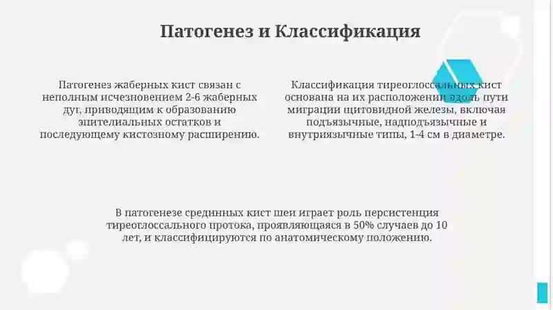 Жаберные щелевые кисты и кисты щитоязычного протока 4