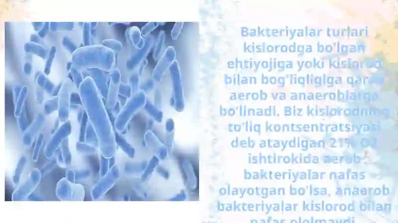 Mikrobiologiya - Shartli patogen anaerob kokklar. 4