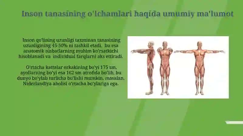 Odam tanasining oʻlchamtavsifi 4
