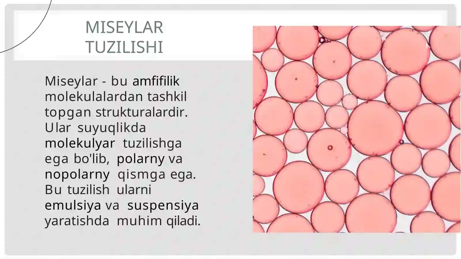 Kolloid zarrachalarning misseylar tuzilishi 4