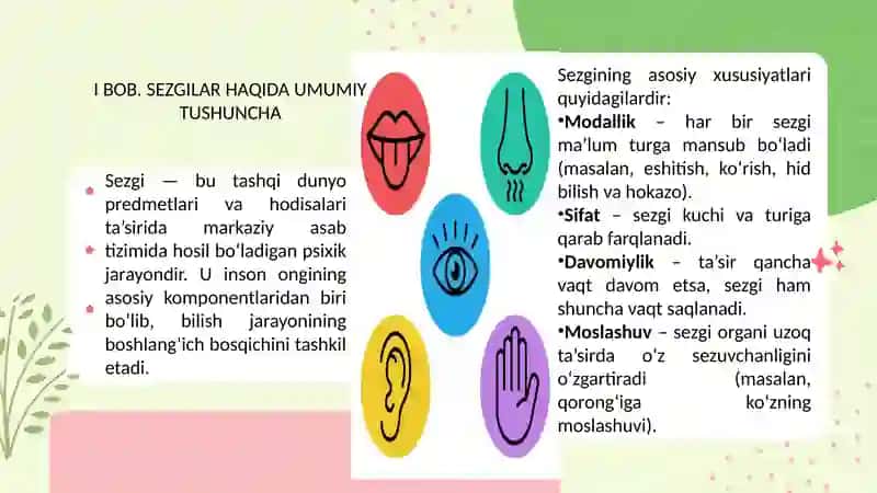 Sezgilar haqida umumiy tushuncha va uning  nerv-fiziologik asoslari 4