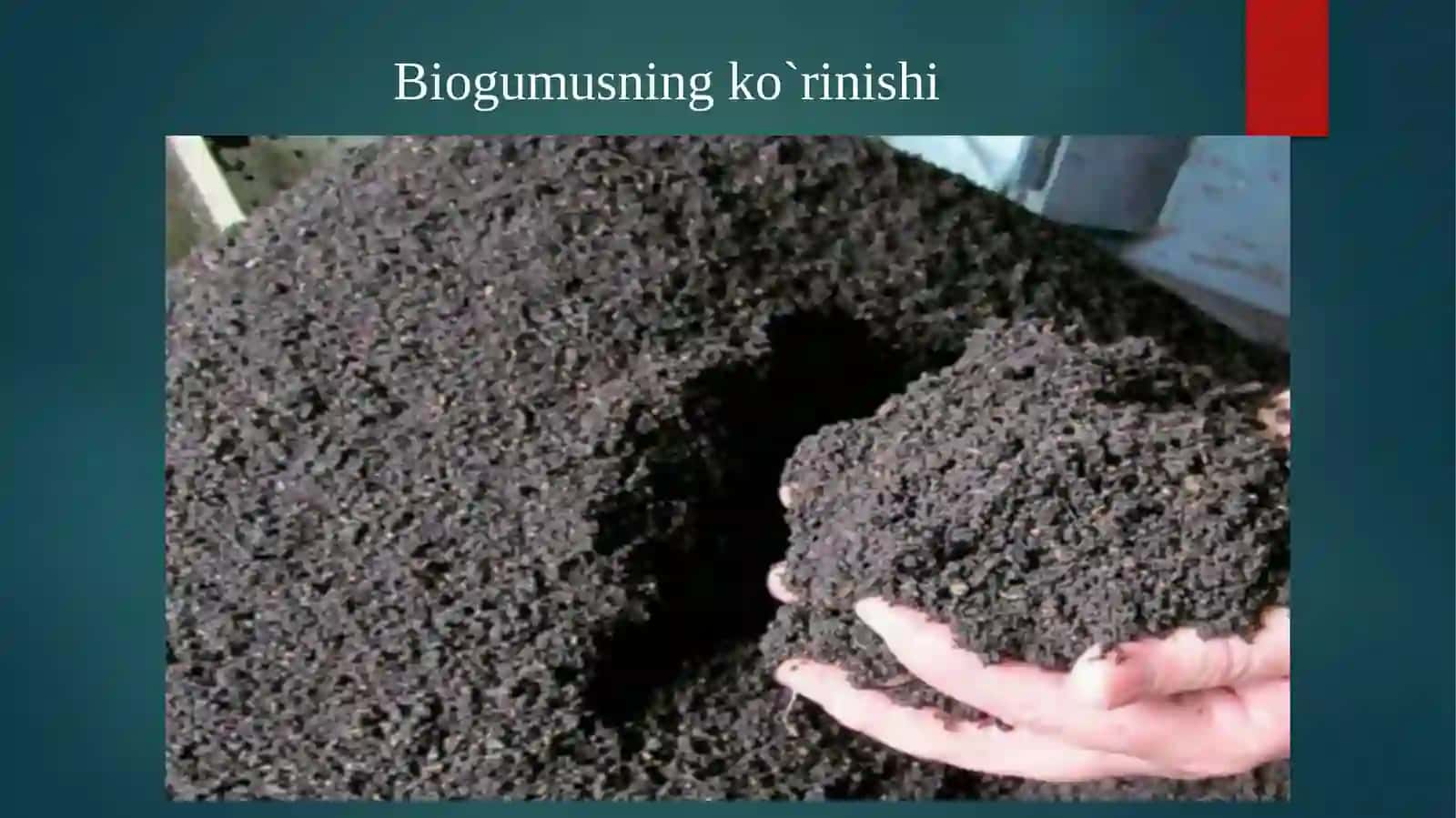 Biogumus 4