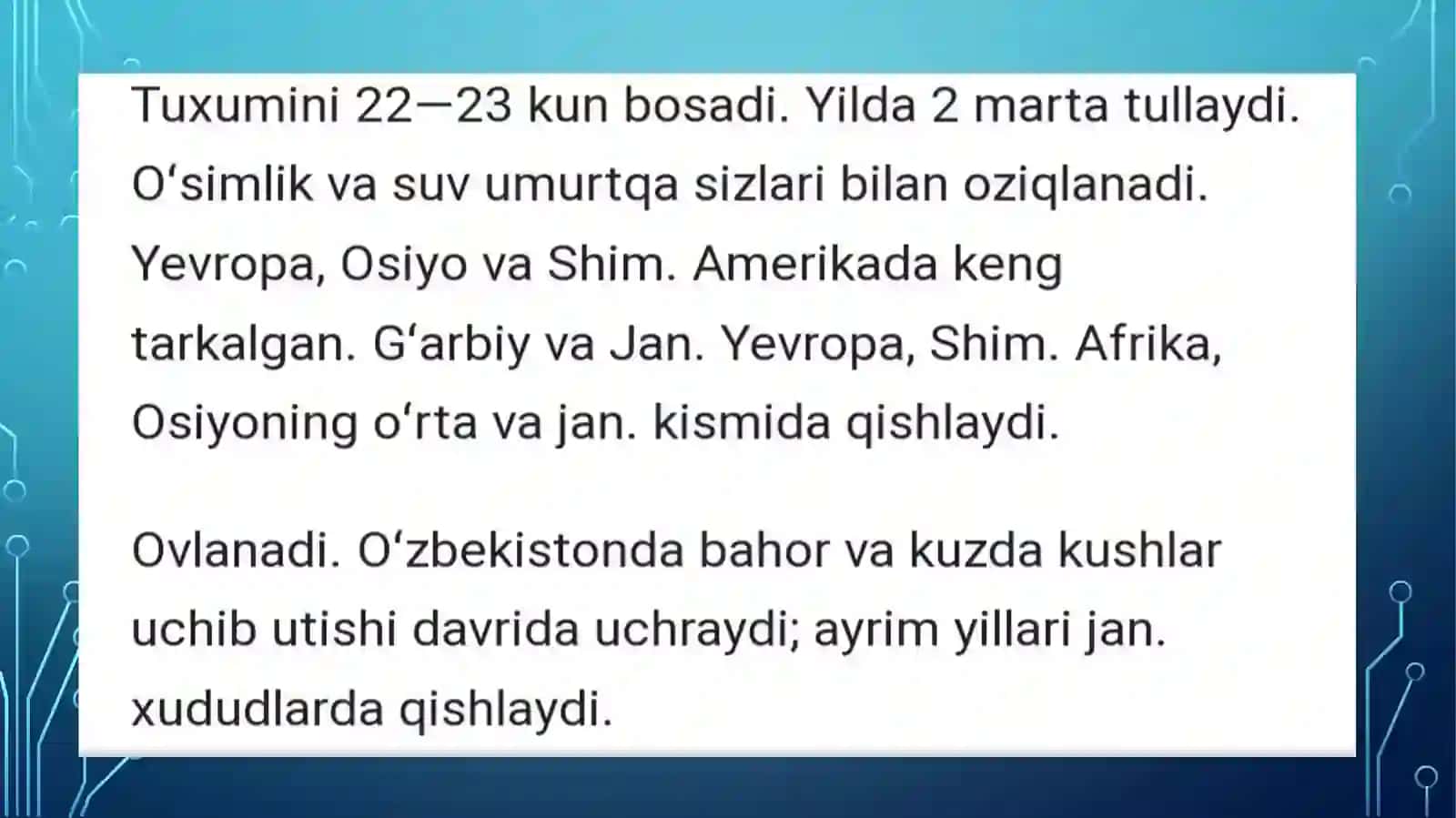 Suqsur (Anas acuta) haqida umumiy maʼlumot 4