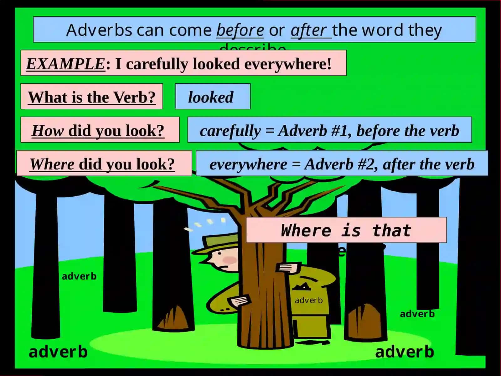 Adverb Can 4